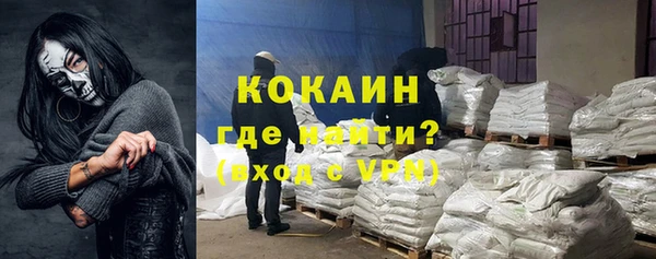 соль ск Абаза