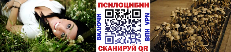 Псилоцибиновые грибы GOLDEN TEACHER  ссылка на мегу ТОР  Холмск 