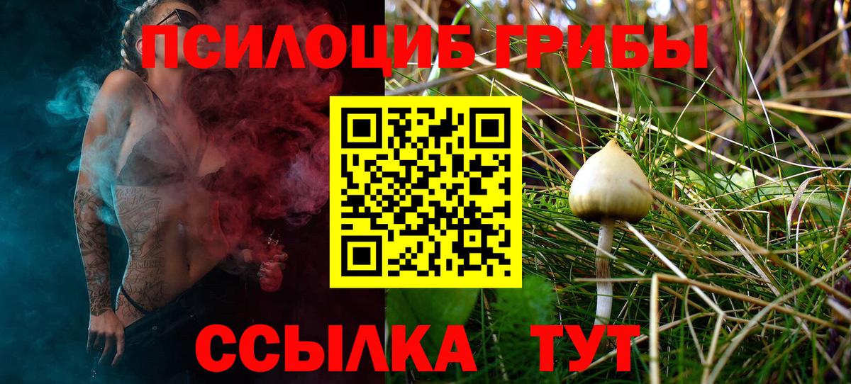 Галлюциногенные грибы Magic Shrooms Холмск