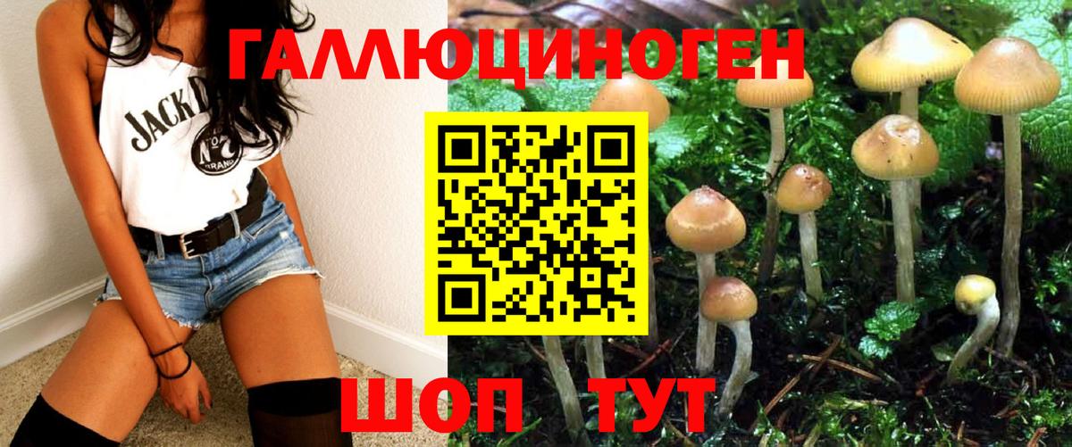 Псилоцибиновые грибы Magic Shrooms  где можно купить наркотик  Холмск  Вход с VPN 